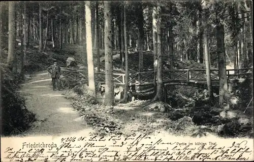 Ak Friedrichroda im Thüringer Wald, Partie im kühlen Tal