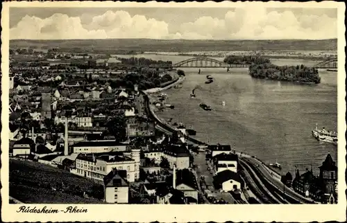 Ak Rüdesheim am Rhein, Panorama, Gasthaus zum Felsenkeller, Weinschänke