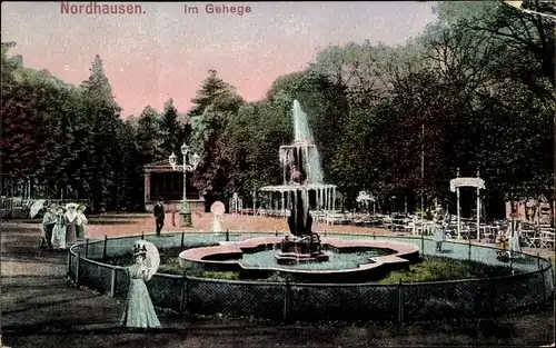 Ak Nordhausen in Thüringen, Partie im Gehege, Springbrunnen