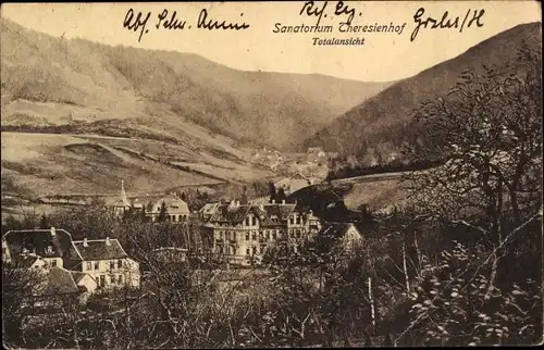 Ak Goslar am Harz, Sanatorium Theresienhof, Totalansicht