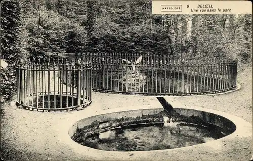 Ak Beloeil Wallonien Hennegau, Une vue dans le parc