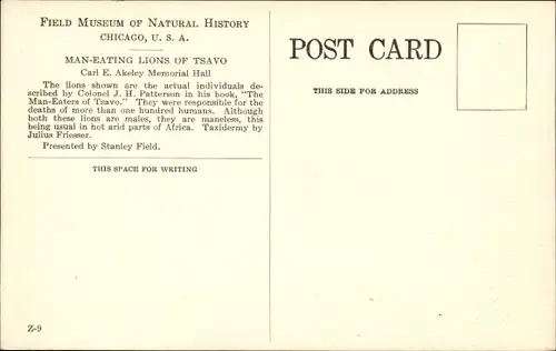 Ak Chicago Illinois USA, Field Museum of Natural History, Man Eating Lions of Tsavo