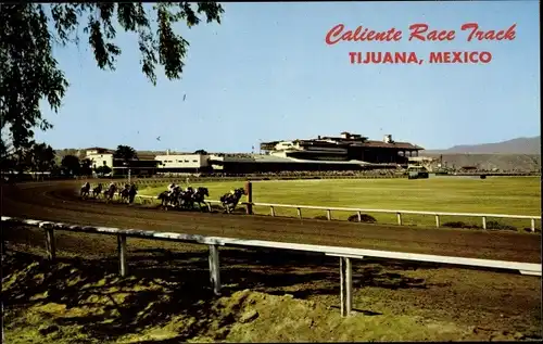 Ak Tijuana Mexiko, Caliente Race Track, Pferderennen
