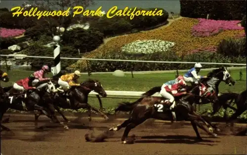 Ak Inglewood Kalifornien USA, Hollywood Park, Pferderennen