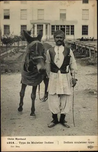 Ak Type de Muletier Indien, Indischer Eselführer, Turban