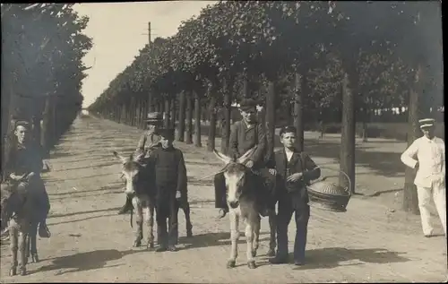 Foto Ak Kinder mit Eseln auf einer Allee