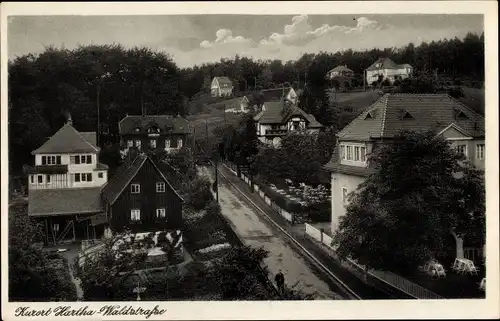 Ak Hartha in Sachsen, Waldstraße