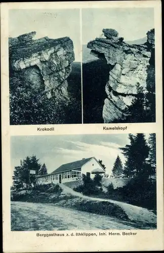 Ak Alfeld an der Leine, Berggasthaus z. d. Ithklippen, Inh. Herm. Becker, Kamelskopf, Krokodil