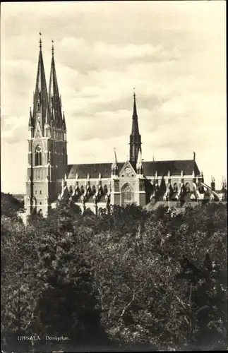 Ak Uppsala Schweden, Domkyrkan