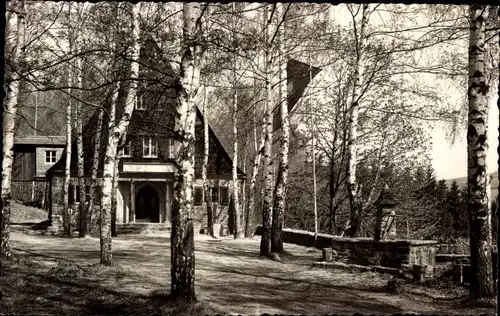 Ak Rittersgrün Breitenbrunn im Erzgebirge, Jugendherberge Ernst Scheffler, Bänke, Birken