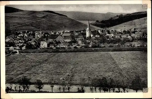 Ak Freden an der Leine Niedersachsen, Panorama