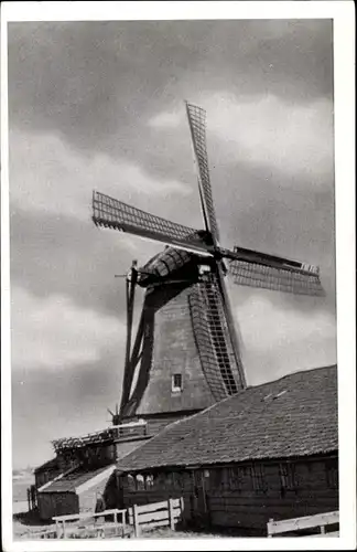 Ak Westzaan Zaanstad Nordholland Niederlande, Molen, Windmühle