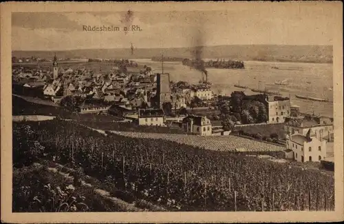 Ak Rüdesheim am Rhein, Panorama