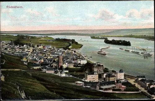 Ak Rüdesheim am Rhein, Panorama, Schiffe