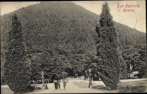 Ak Bad Harzburg am Harz, Burgberg