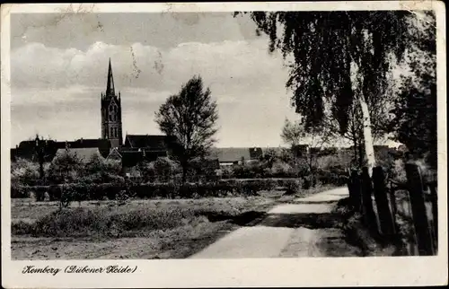 Ak Kemberg Dübener Heide, Straßenpartie mit Blick zum Ort, Kirche