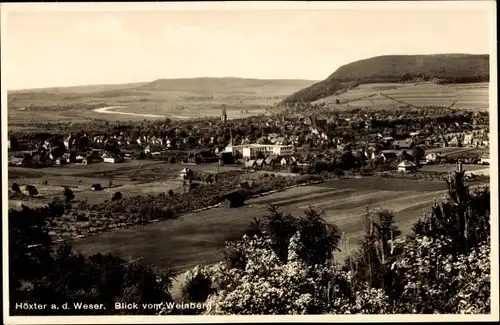 Ak Höxter an der Weser, Blick vom Weinberg