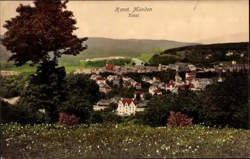 Ak Hann. Münden in Niedersachsen, Panorama