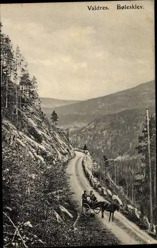 Ak Valdres Norwegen, Bolesklev