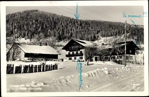 Ak Salzburg in Österreich, Gaisberg, Alpengasthof Zistelalm