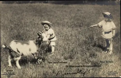 Ak Prinzen Louis Ferdinand und Wilhelm von Preußen mit Ziege