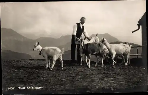Ak Schweiz, Ziegen beim Salzlecken, Gebirge