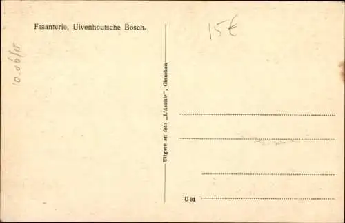 Ak Ulvenhout Nordbrabant Niederlande, Ulvenhoutsche bosch, Fasanterie