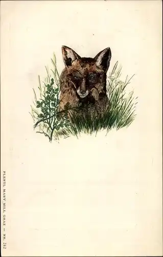 Präge Ak Fuchs im Gras, Plentl Nr. 242