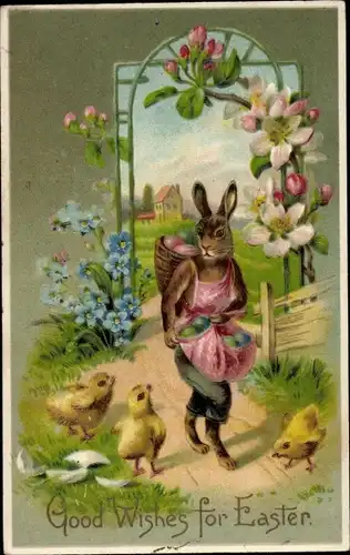 Ak Glückwunsch Ostern, Vermenschlichter Osterhase mit Eiern, Küken