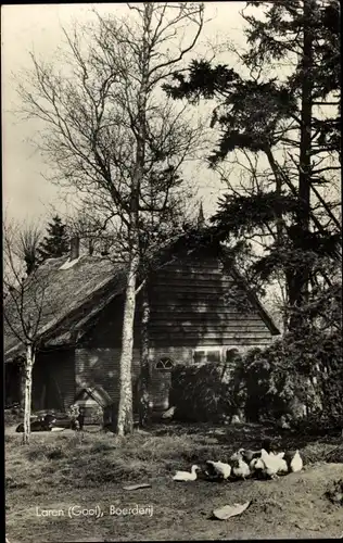 Ak Laren Nordholland Niederlande, Boerderij, Geflügel