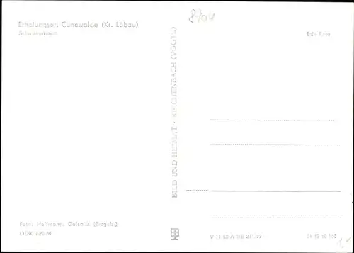 Ak Cunewalde in der Oberlausitz, Schwanenteich