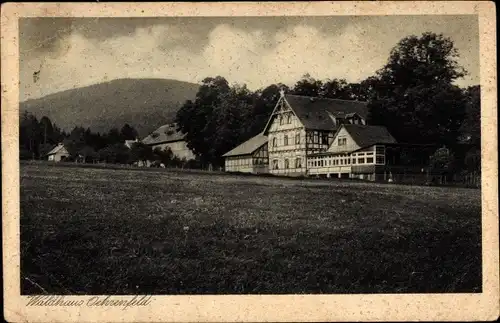 Ak Oehrenfeld Drübeck Ilsenburg im Harz, Waldhaus Oehrenfeld