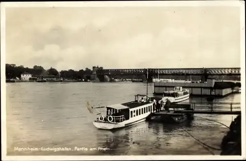 Ak Mannheim in Baden, Partie am Rhein, Schiff, Brücke