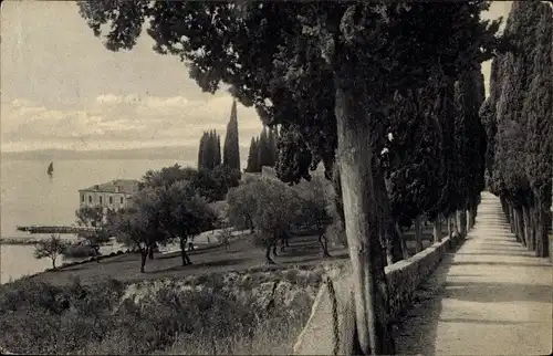 Ak San Vigilio Lago di Garda Veneto, Cypressenallee mit Ausblick auf den Gardasee