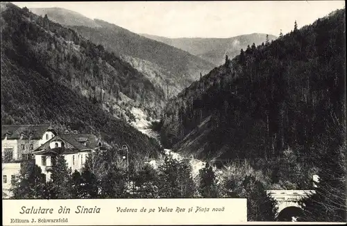 Ak Sinaia Rumänien, Vederea de pe Valea Rea si Piata nouä
