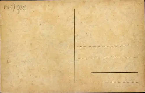 Ak Mariazell Steiermark, Blick gegen Trieben