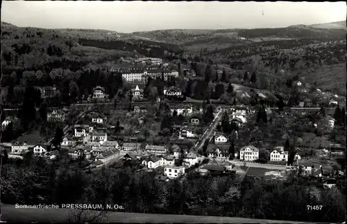 Ak Pressbaum in Niederösterreich, Panorama