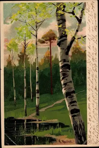 Künstler Litho Landschaft mit Gewässer und Birken