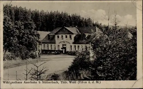 Ak Stützerbach Ilmenau Thüringer Wald, Waldgasthaus Auerhahn