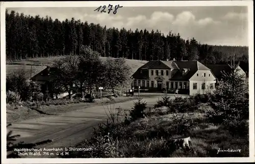 Ak Stützerbach Ilmenau Thüringer Wald, Waldgasthaus Auerhahn