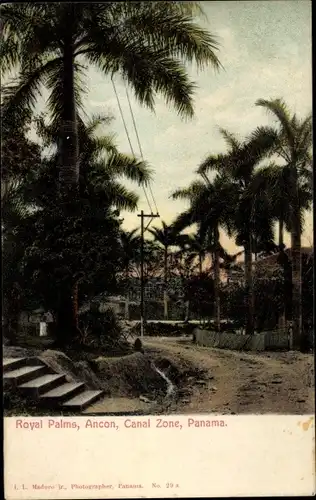 Ak Ancon Panama, Canal Zone, Royal Palms