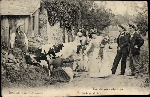 Ak La vie aux champs, La tasse de lait