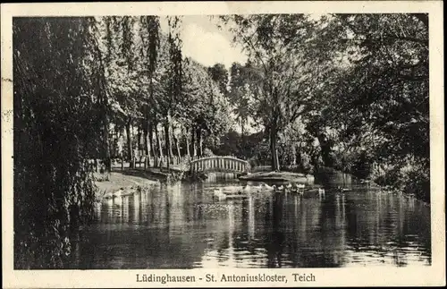 Ak Lüdinghausen im Münsterland Westfalen, St. Antoniuskloster, Teich