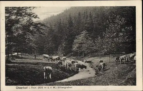 Ak Oberhof im Thüringer Wald, Silbergraben