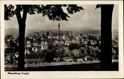 Ak Schneeberg im Erzgebirge, Gesamtansicht
