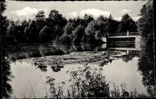 Ak Elmshorn in Holstein, Partie aus der Lieth
