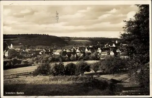 Ak Jestetten in Baden, Ortsansicht