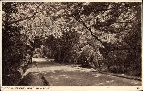 Ak New Forest Hampshire England, The Bournemouth Road