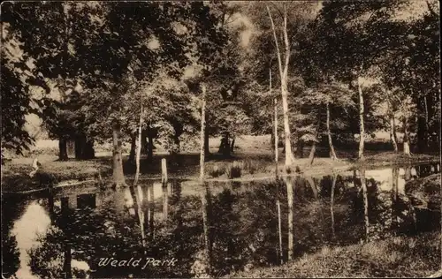 Ak Brentwood South East England, Weald Park