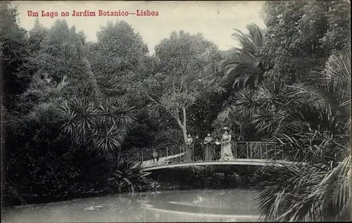 Ak Lissabon Portugal, Um Lago no Jardim Botanico, Botanischer Garten